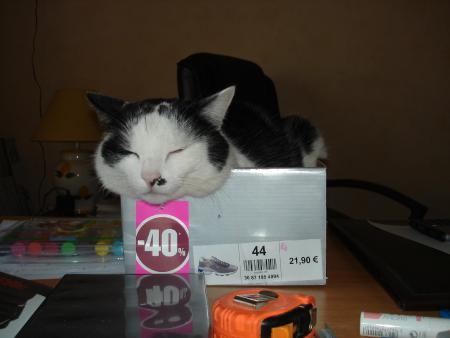 hahahhahahhahhhahahahhah